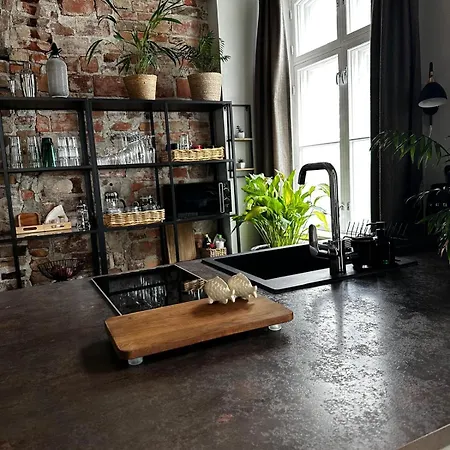 Luxury In The Center Apartment Mikkeli